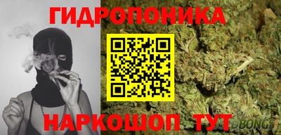 крисы Тверь